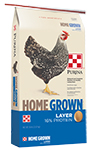 Home Grown Poultry Feeds Chicken Layer