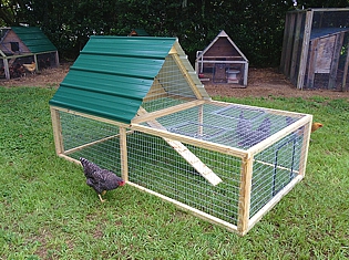 Chicken Coop 4