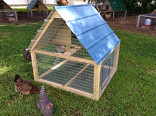 Chicken Coop 6